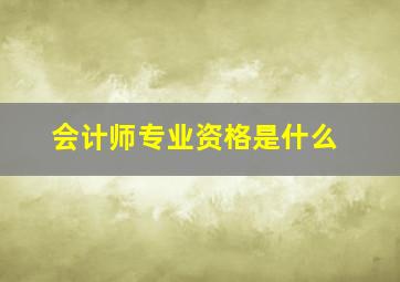 会计师专业资格是什么