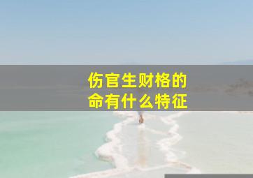 伤官生财格的命有什么特征