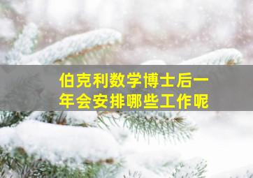 伯克利数学博士后一年会安排哪些工作呢