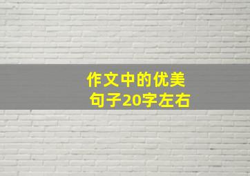 作文中的优美句子20字左右