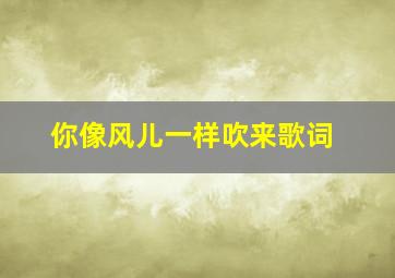 你像风儿一样吹来歌词