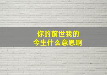 你的前世我的今生什么意思啊