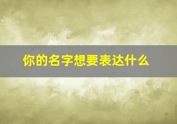 你的名字想要表达什么