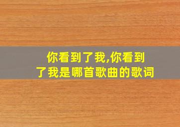 你看到了我,你看到了我是哪首歌曲的歌词