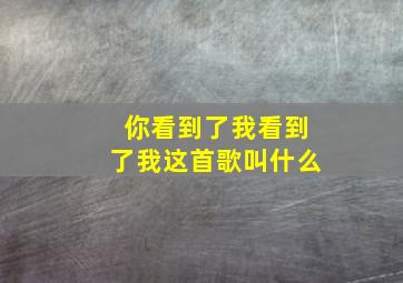 你看到了我看到了我这首歌叫什么