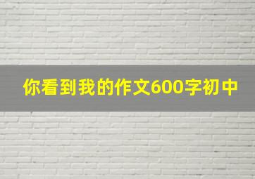 你看到我的作文600字初中