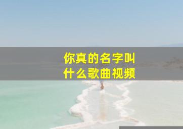 你真的名字叫什么歌曲视频