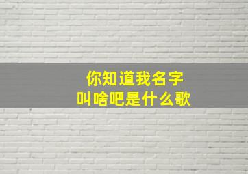 你知道我名字叫啥吧是什么歌