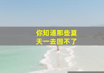 你知道那些夏天一去回不了