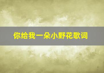 你给我一朵小野花歌词