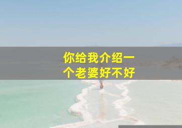 你给我介绍一个老婆好不好