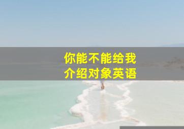 你能不能给我介绍对象英语