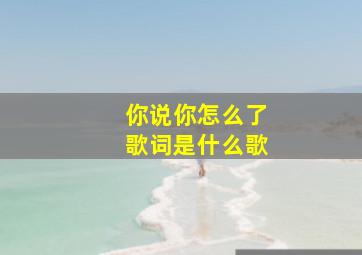 你说你怎么了歌词是什么歌