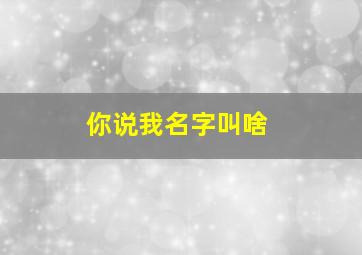 你说我名字叫啥