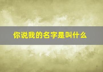 你说我的名字是叫什么