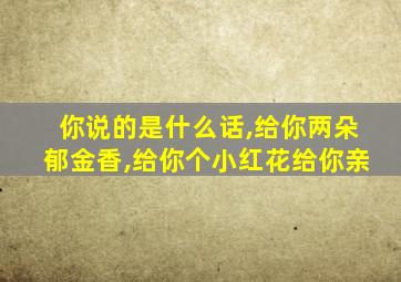 你说的是什么话,给你两朵郁金香,给你个小红花给你亲