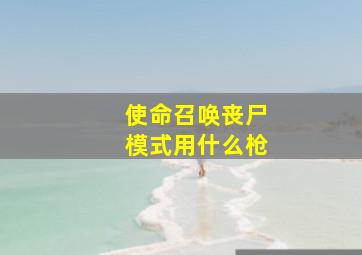 使命召唤丧尸模式用什么枪