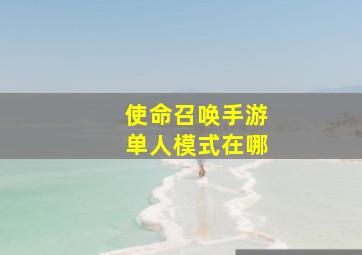 使命召唤手游单人模式在哪