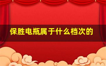 保胜电瓶属于什么档次的