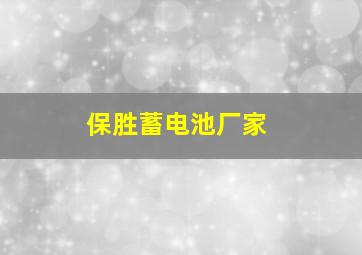 保胜蓄电池厂家