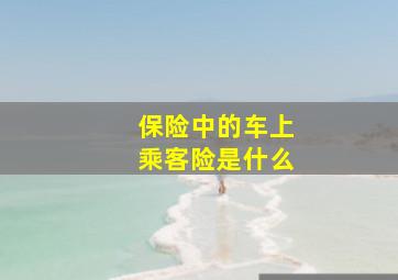 保险中的车上乘客险是什么