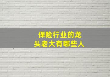 保险行业的龙头老大有哪些人