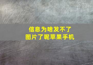 信息为啥发不了图片了呢苹果手机