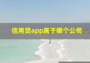 信用贷app属于哪个公司