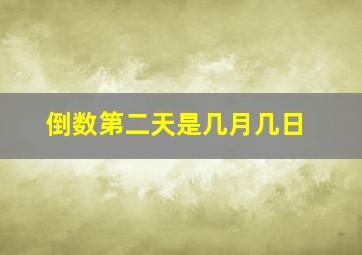 倒数第二天是几月几日