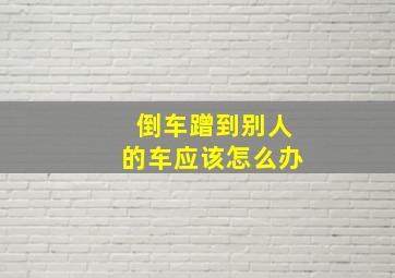 倒车蹭到别人的车应该怎么办