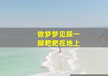 做梦梦见踩一脚粑粑在地上