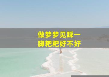 做梦梦见踩一脚粑粑好不好