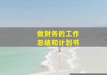 做财务的工作总结和计划书