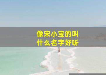 像宋小宝的叫什么名字好听