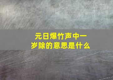 元日爆竹声中一岁除的意思是什么