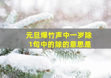 元旦爆竹声中一岁除1句中的除的意思是