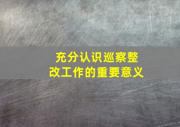 充分认识巡察整改工作的重要意义