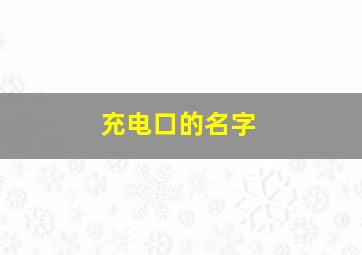 充电口的名字