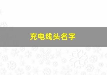 充电线头名字