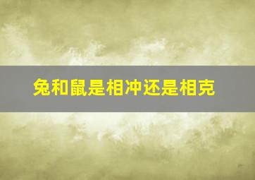 兔和鼠是相冲还是相克