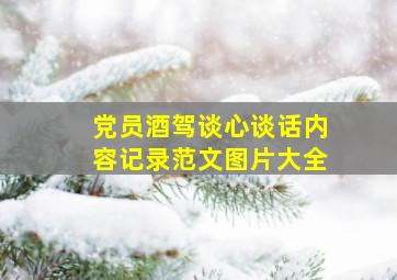 党员酒驾谈心谈话内容记录范文图片大全