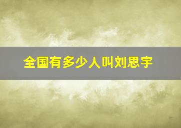 全国有多少人叫刘思宇