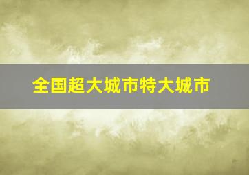 全国超大城市特大城市