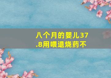 八个月的婴儿37.8用喂退烧药不