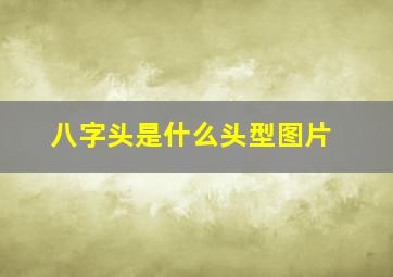 八字头是什么头型图片