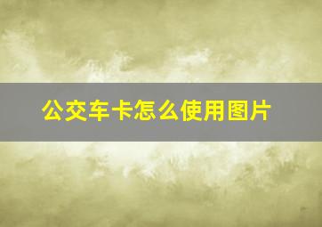 公交车卡怎么使用图片