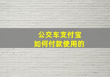 公交车支付宝如何付款使用的