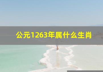 公元1263年属什么生肖