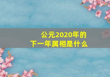 公元2020年的下一年属相是什么