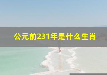 公元前231年是什么生肖